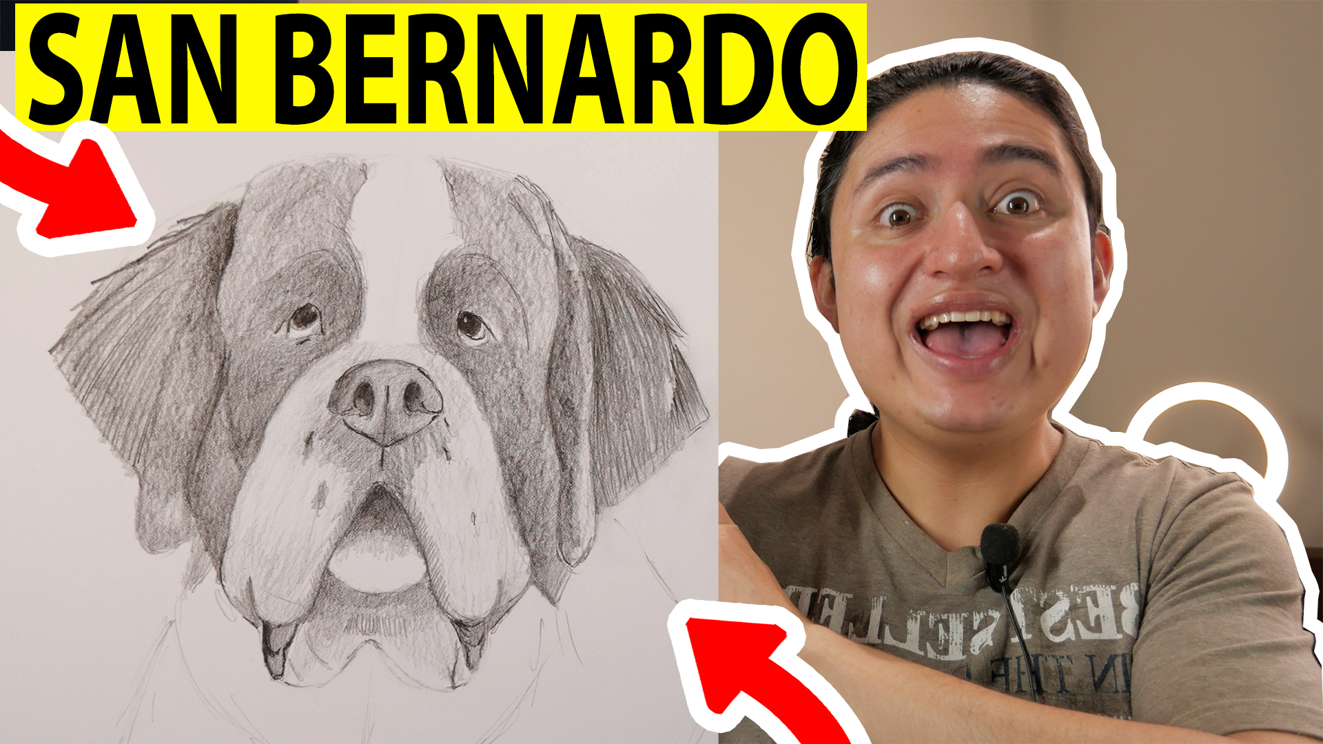 ¿Cómo dibujar un perro San Bernardo Realista? | MEJORES DIBUJOS【2021】