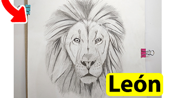 🥇 ¿Cómo dibujar un León Realista? | MEJORES DIBUJOS【2021】
